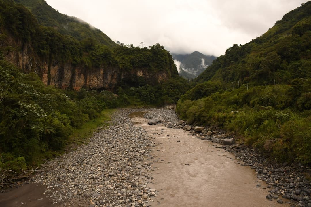 From the Andes to the Amazon: How Indigenous Heritage Continues to Mold South American Society