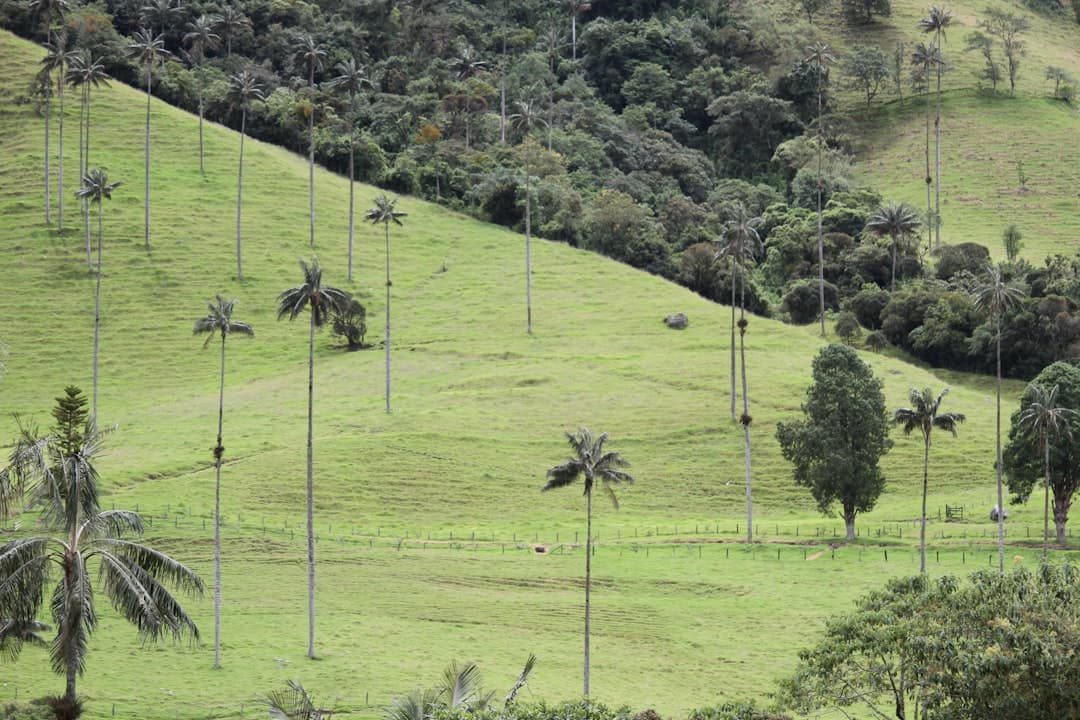 Precision Agriculture and Digital Tools Transform Farming Across South America